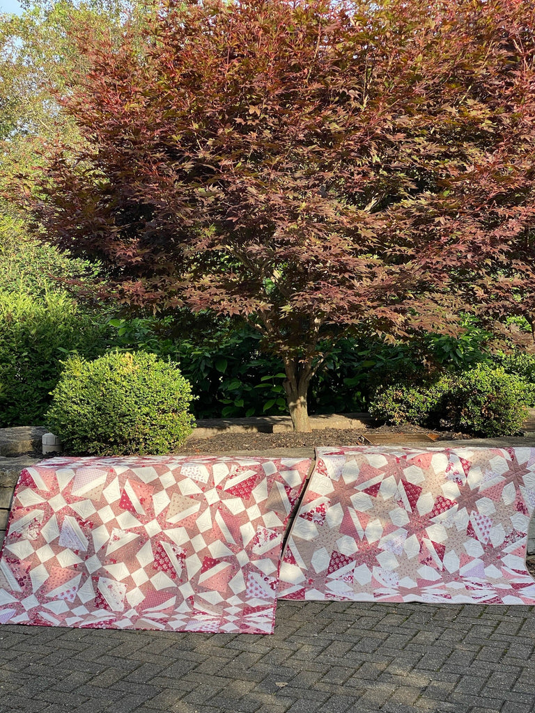 Midnight Garden REFRESHED in Heartfelt