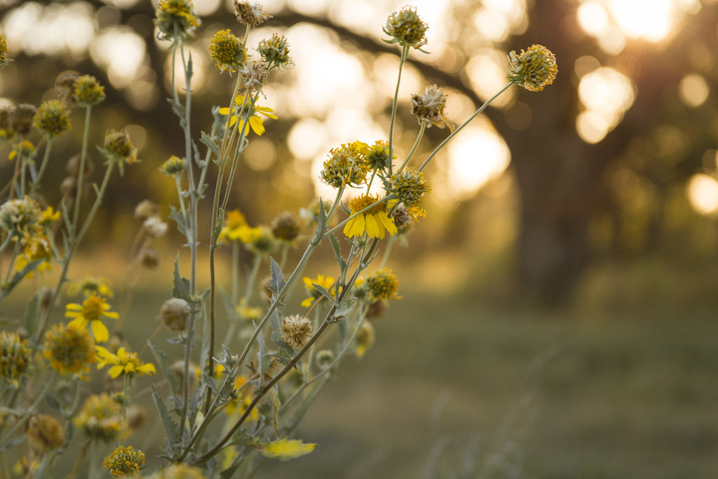 Spring is in the air . . .