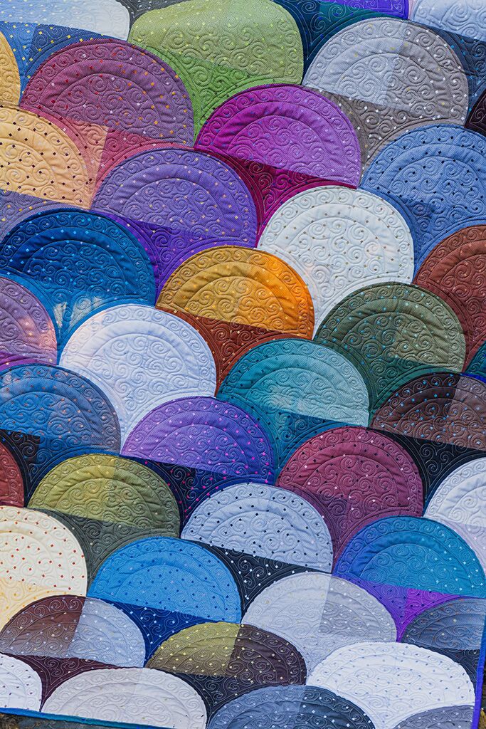 Modern Shells – Planted Seed Designs