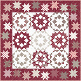NEW! Dancing with the Stars II Quilt Pattern (PSD-392P)
